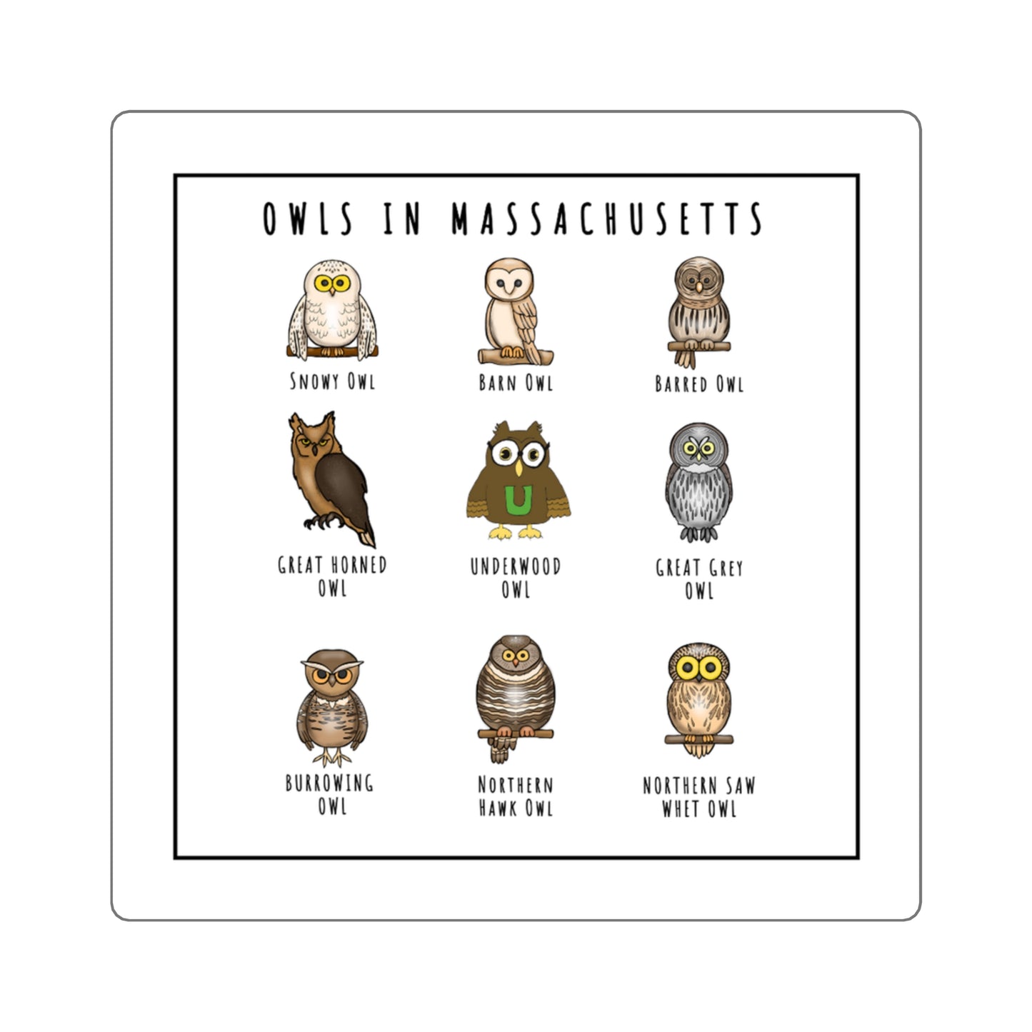 Owls in Massachusetts - Square Stickers